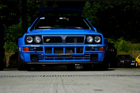 Corzo-RSRII 2012 photo by Yonerth
