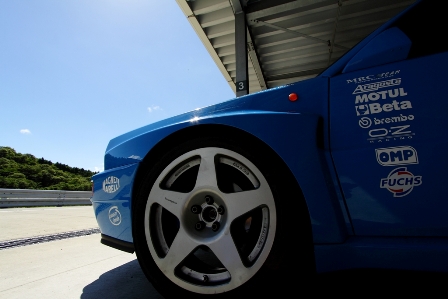 Corzo-RSRII 2012 photo by Yonerth